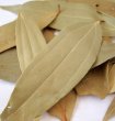 Photo2: BAY LEAF(TESPATA) RADHUNI 50g / ベイリーフ（ローリエ）OR any available brand. (2)