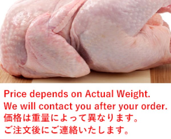 Photo1: CHICKEN SOFT JP（2kgUP）850yen/kg  / 丸鶏（ソフト） (1)