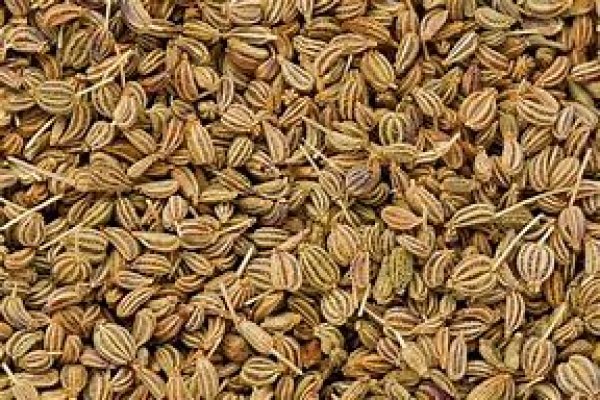 Photo1: AJWAN SEED 500g / アジョワンシード (1)