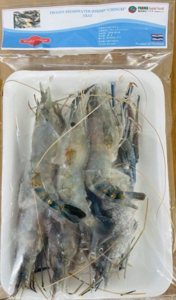 Photo1: SHRIMP (CHINGRI / AB) THAI 250g [ 25~30]/ シュリンプ　タイ　250g [ 25~30] (1)